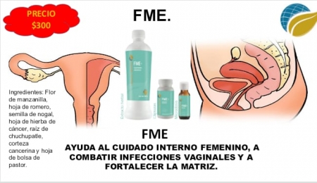 FME